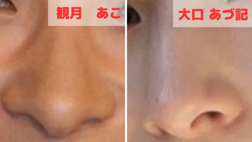 大口あづl記と観月あこの鼻
